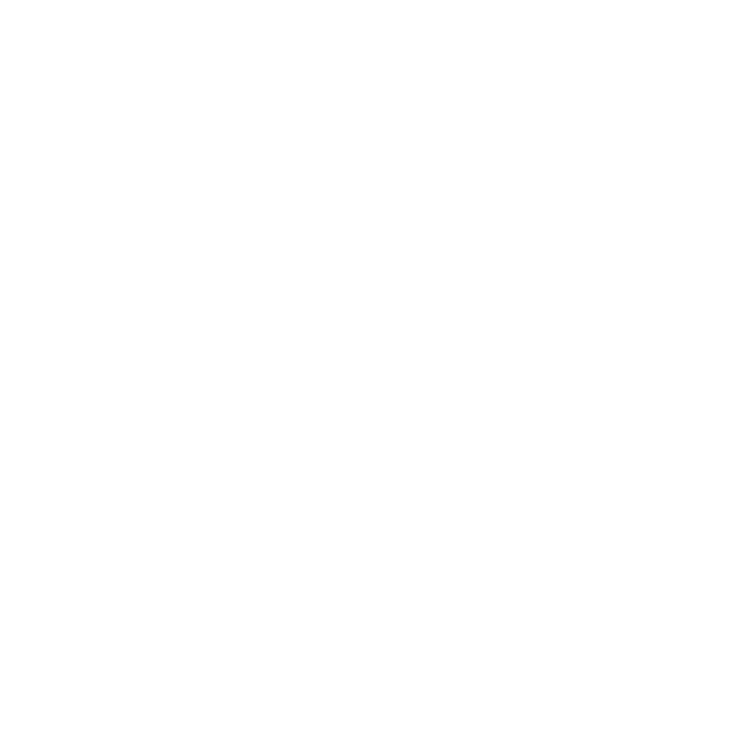 LooplinerMag Logo
